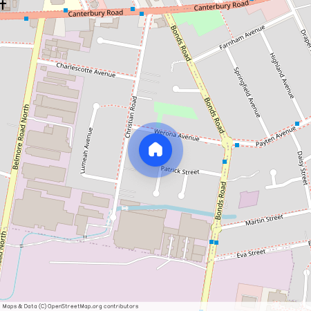 21 Patrick Street, NSW 2196, Punchbowl