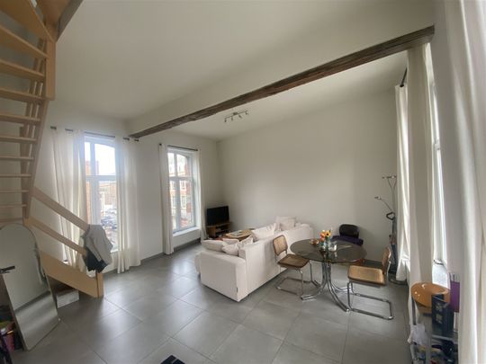 Duplex 1 chambre - Photo 1