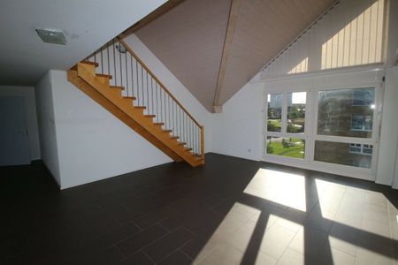 SUPERBE DUPLEX A GROLLEY - Photo 3