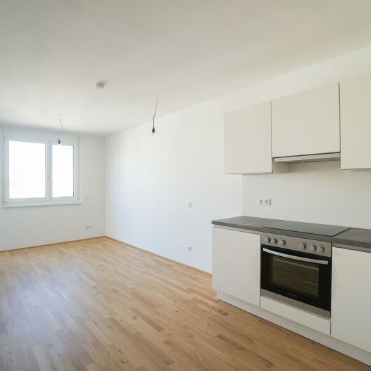 Kirschblütenpark - Wohnung mit Balkon für Singles oder Pärchen - Photo 1