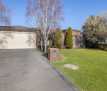 Everything You Need! - Photo 4