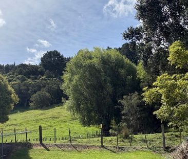 Quiet Mangapapa Cul de Sac - Photo 2