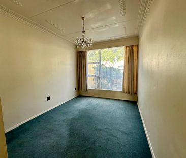 Magnetic on Maitland - a wee gem - Photo 2