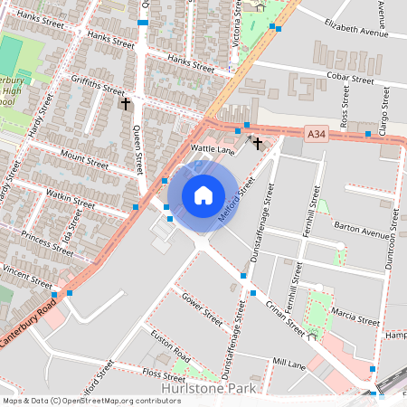 8 The Avenue, Hurlstone Park 2193, New South Wales