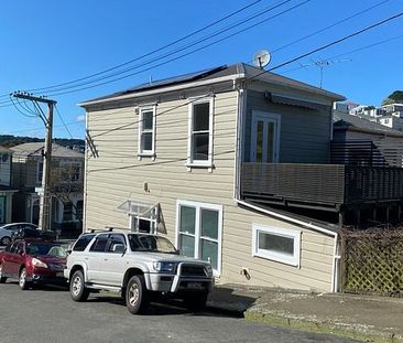 Sunny renovated Aro Valley home - Photo 4