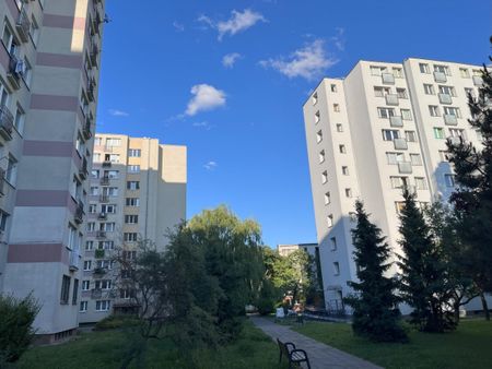 Słoneczne 2 pokoje na granicy Ochoty i Włoch - Zdjęcie 5