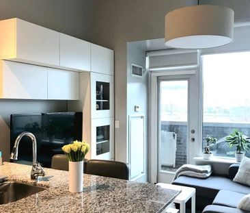 For Lease - 55 E Liberty Street Unit# 106, Toronto, Ontario - Photo 6