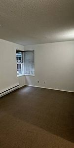 Bright, spacious 2 bedroom 2 bath, with storage, parking and private g - Photo 3