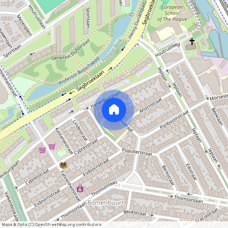 Bomenbuurt, 2565 ZM, Pijnboomstraat, Den Haag