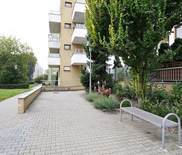 2 pok. z wyposażeniem 54 m² * Parking * Loggia - Фото 2