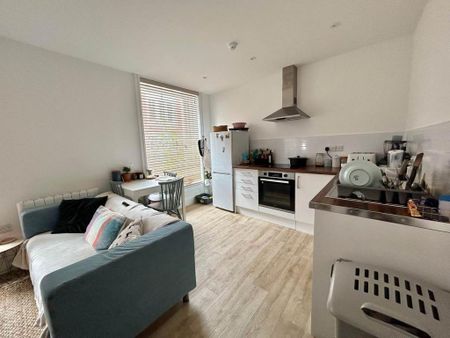 1 bedroom flat to rent - Photo 3