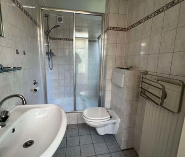 Scheendijk, Breukelen, Nederland - Foto 3