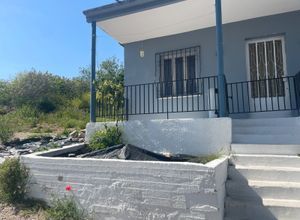 Μονοκατοικία για ενοικίαση - Χρυσούπολη, - Φωτογραφία 5