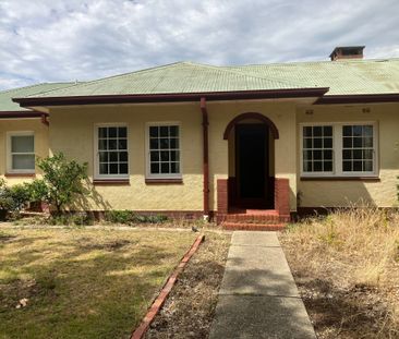 Ainslie - Photo 4