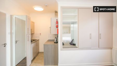 Studio for rent in Southside, Dublin - Photo 4