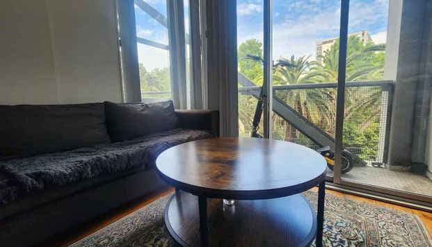 Central Auckland 1BR Gem with Balcony - Photo 1
