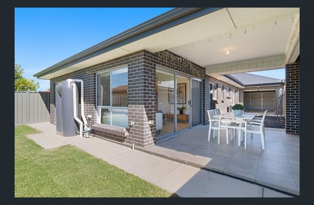 22 Lenma Street, Netley - Photo 1