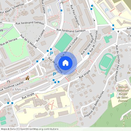 21 RUE GUSTAVE COURBET, 42100, St Etienne