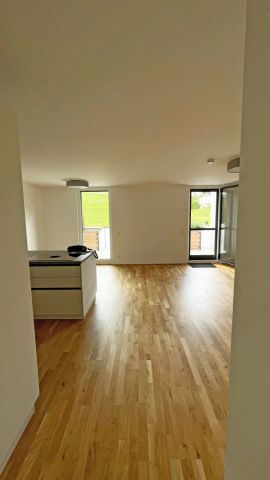 Weerberg, Neue Traumwohnung mit Aussicht! - Foto 4