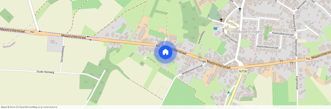 Maastrichterstraat 311, 3740 Bilzen