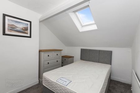 43 Candahar Street, (Refurbished serviced room), BT73AR, Belfast - Photo 3