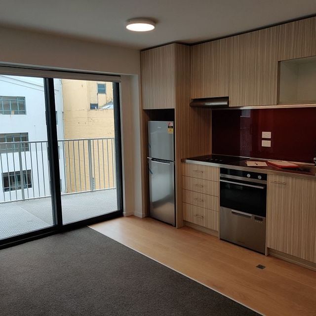 Modern North-Facing with Balcony - Photo 1