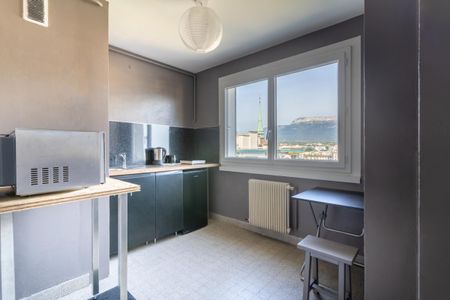 Location Appartement 1 pièce Meublé 25m² ANNECY 74000 - Photo 2