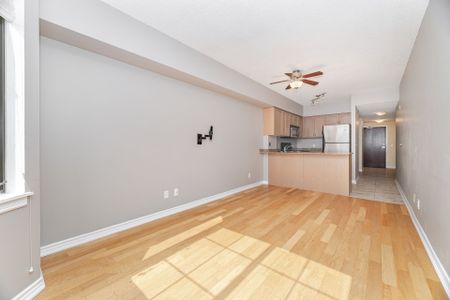 For Lease - 47 Caroline Street Unit# 307, Hamilton, Ontario - Photo 4