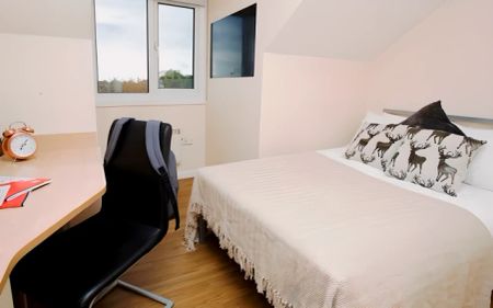 1 Bedroom Apartment - Photo 2