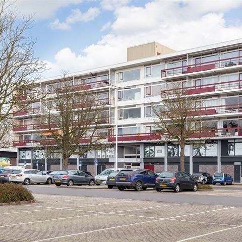 Room Arnhem - Hanzestraat - Photo 1