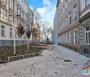 Kleine Singlewohnung beim Erlachplatz - unbefristete Anmietung - Photo 5