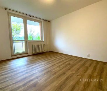 Nabízíme k pronájmu moderní byt po rekonstrukci 2+1, 56 m - Fotografie 6