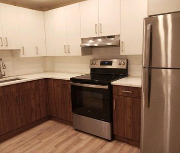 very nice and big 3.5 apartment for rent-APPLIANCES INCLUDED - Photo 3