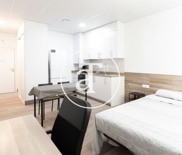 Monthly rental Studio with 1 bedroom, 1 bathroom in Latina - Photo 5