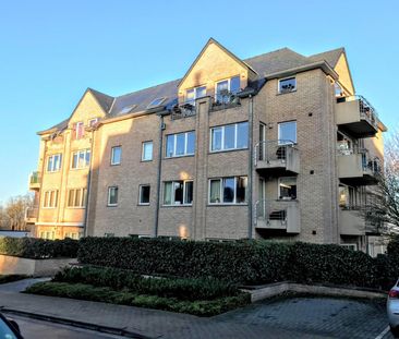 Flat - for rent - Photo 5