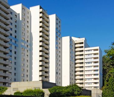 3-Zimmer-Wohnung in Frechen - Foto 1