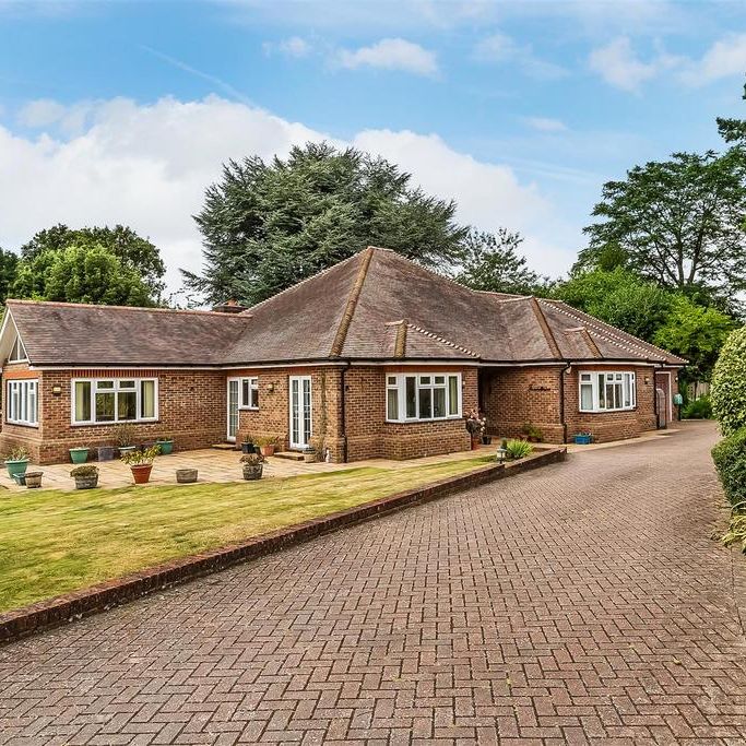 3 bedroom detached bungalow to rent - Photo 1