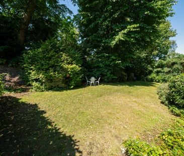 Upper Park Road - Photo 4