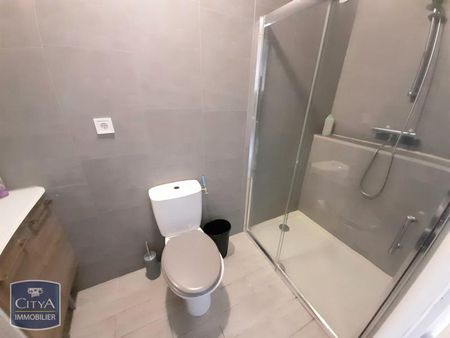 Location Appartement 1 pièce 26m² NAZELLES NEGRON 37530 - Photo 4