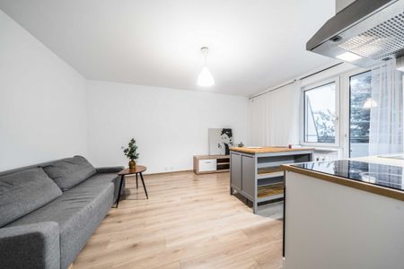 Mieszkanie Wilda duży balkon - Photo 2