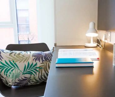 Premium Studio - Photo 4