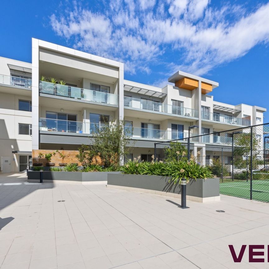 26/21 Christina Stead Street, Franklin ACT 2913 - Apartment For Rent | Domain - Photo 1