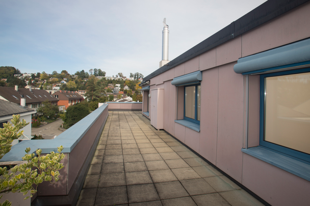 Gemütliche Dachwohnung mit Cheminée und grosser Terrasse - Foto 1