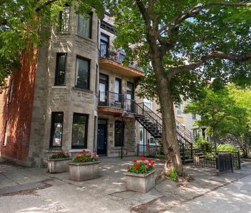 Appartement Montréal (Le Plateau-Mont-Royal) � Louer - Photo 3