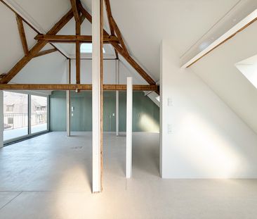Exklusive Loftwohnung mit 20m2 Dachterrasse nähe Schaffhauserplatz - Photo 5