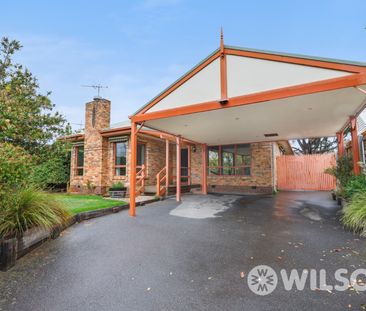 8 Tuck Street, Cheltenham VIC 3192 - House For Rent | Domain - Photo 6