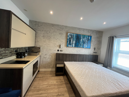 Stunning Central Studio on Broadway, PE1 😍😍 Suite 107 - Photo 3