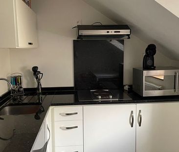 Location Appartement 1 pièce LIMOGES (87000) - Photo 3