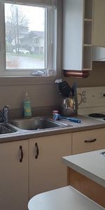 Libre rapidement Logement 3 1/2, près université - Photo 4