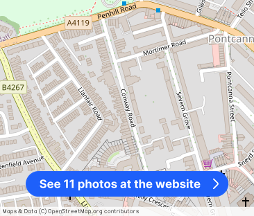 Conway Road, Pontcanna, Cardiff - Photo 1